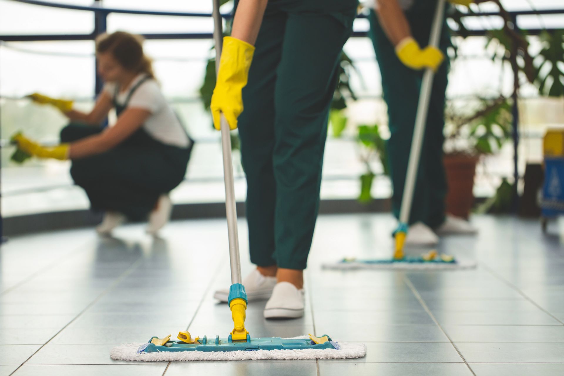 Deep Cleaning in Lewiston, MN Deep Cleaning in Lewiston, MN