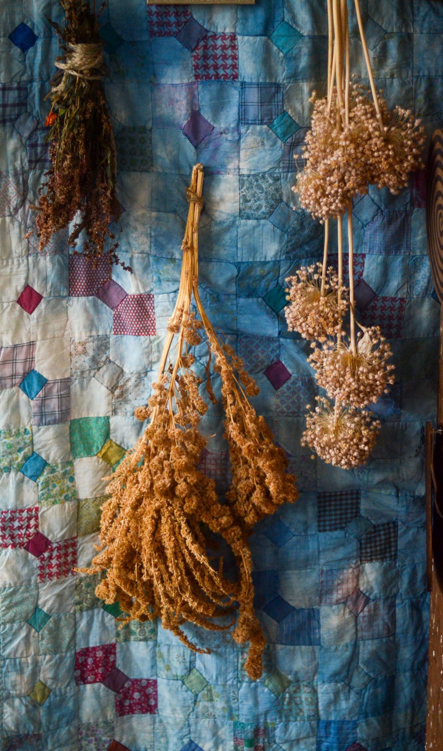 Dried herbs and flowers hanging on a blue patchwork quilt backdrop