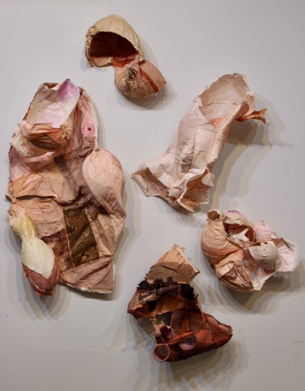 Several crumpled dried flower petals and brown plant fragments on a light surface