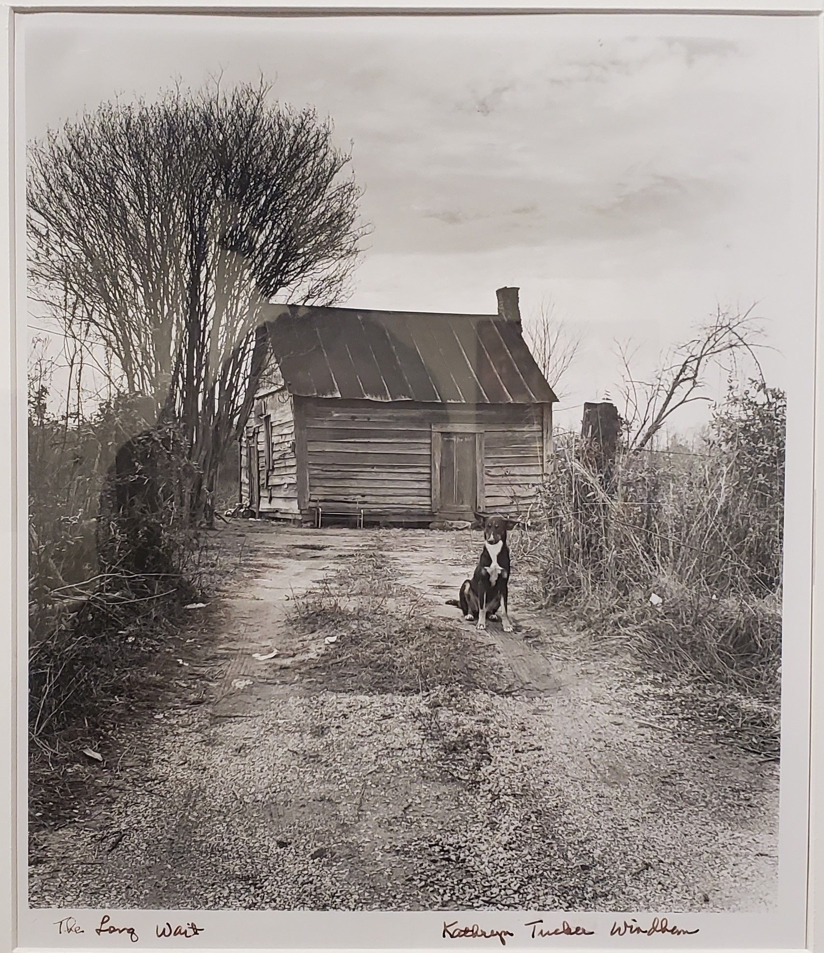 Black-and-white rural house with trees and a dog on a dirt path