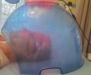 A woman is having a facial treatment