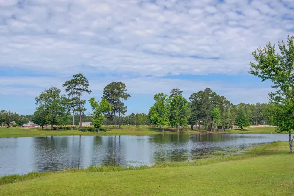 Calm lake with grassy banks, trees, and a partly cloudy blue sky