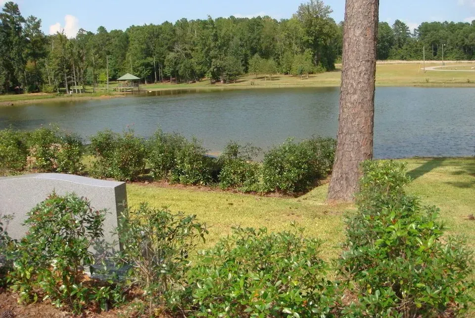 Lake bordered by green trees and grass, with shrubs and a tall pine tree in the foreground.