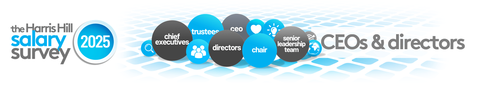 The Harris Hill salary survey 2025 graphic: CEOs and directors. Blue and gray spheres with text.