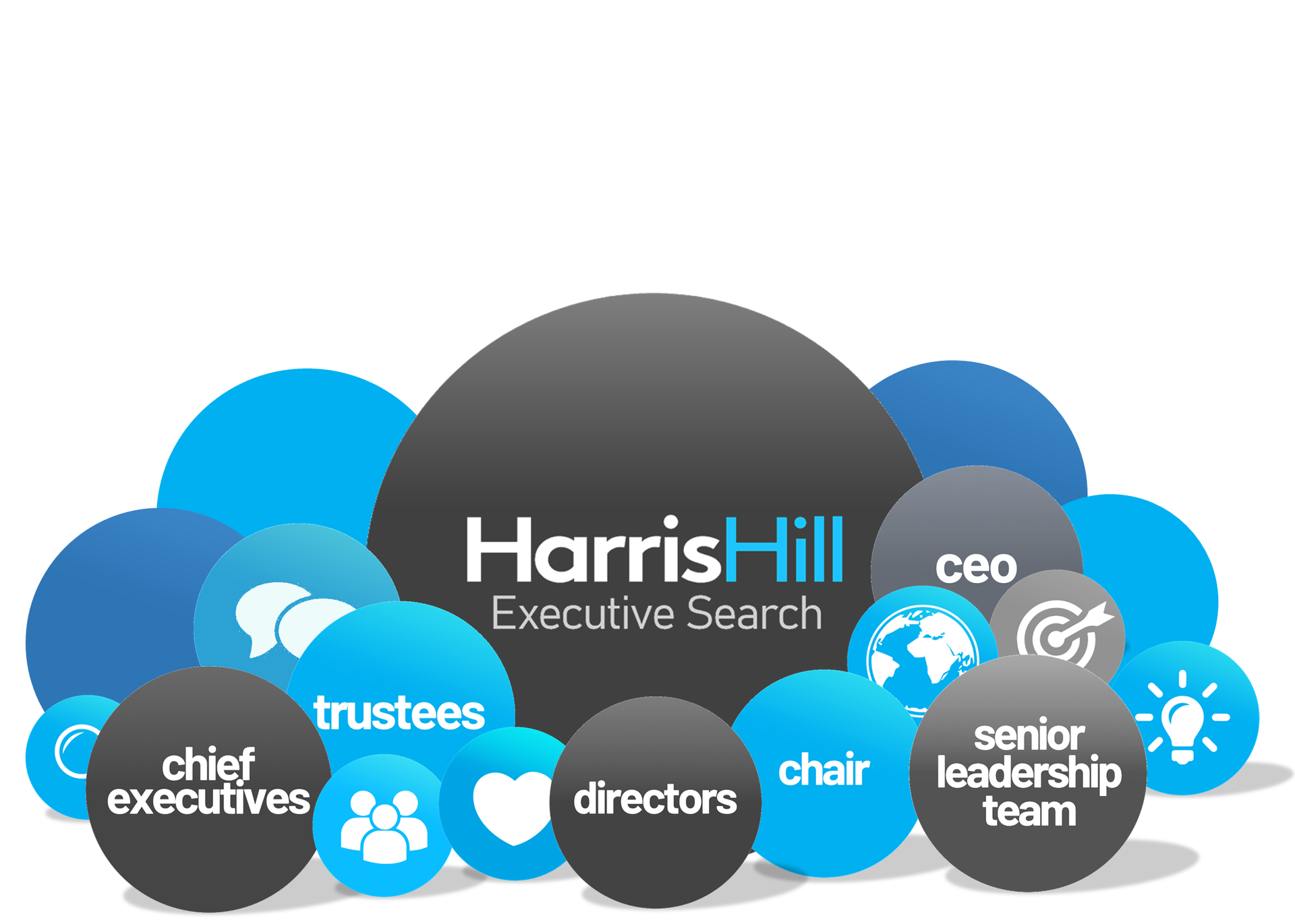 Blue and gray overlapping circles with text related to executive search.