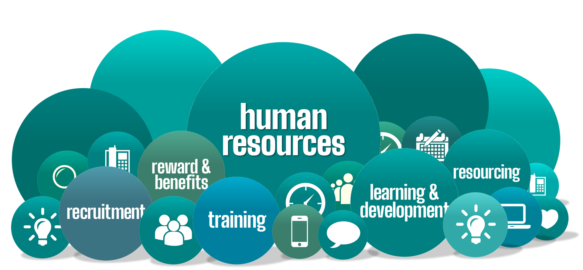 Graphic of human resources topics: recruitment, training, learning & development, etc. in teal circles.