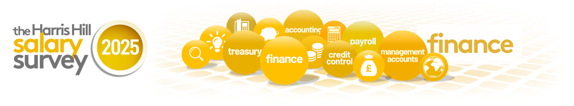 The Economist Salary Survey 2025. Yellow bubbles with the words: finance, banking, insurance, and social credit.