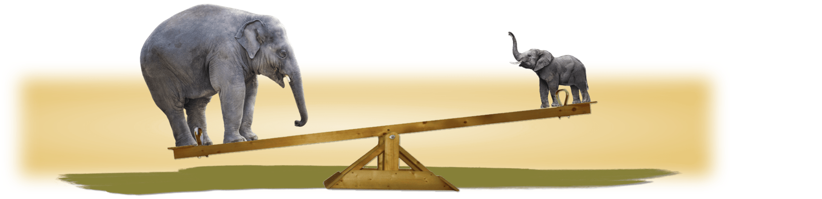 An adult elephant and a baby elephant on a seesaw, symbolizing weight and balance.