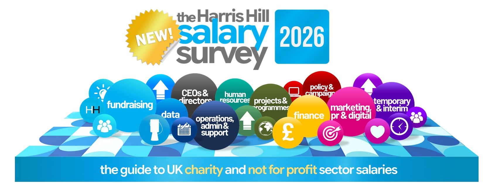 The Harris Hill Salary Survey 2025 graphic with colorful circles and text highlighting various charity and non-profit roles.