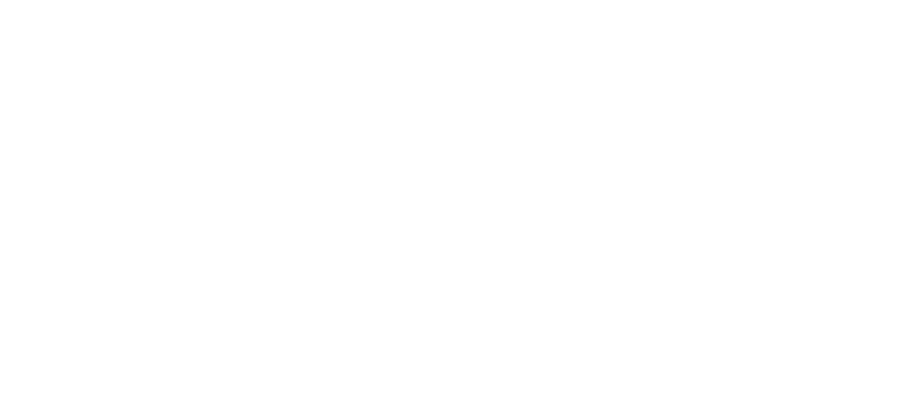 fighting blindness logo