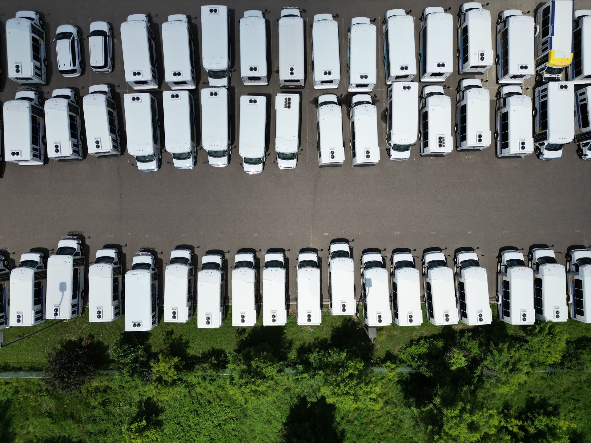 Aerial view of rows of white vans parked on a paved lot beside green trees.
