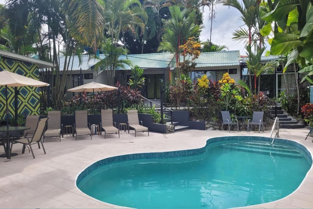 Tropical resort pool with lounge chairs, umbrellas, and lush palm trees surrounding the water