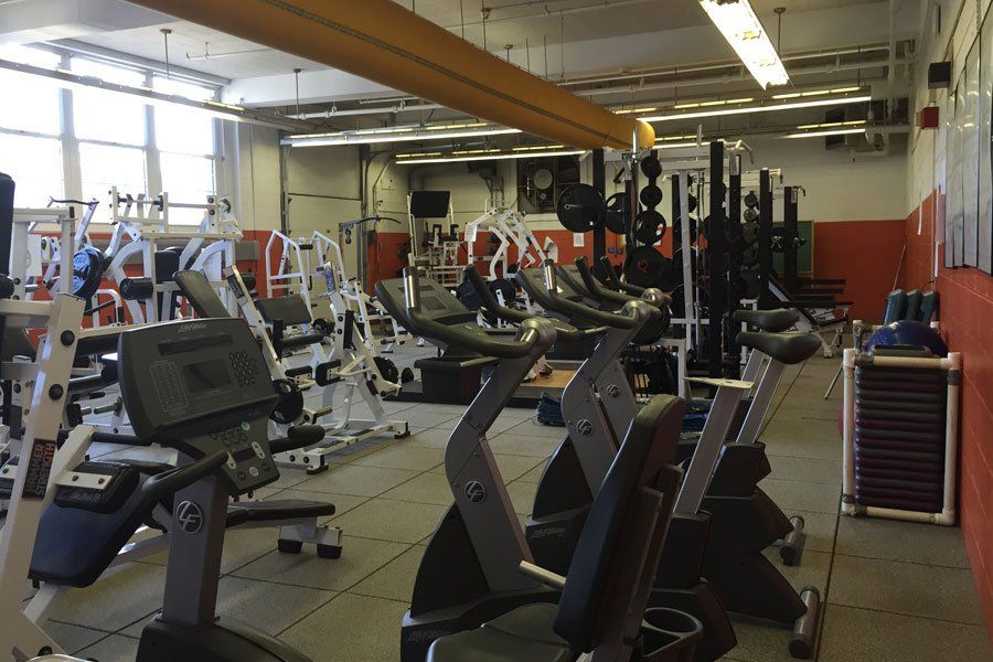 Gym Tread Mills