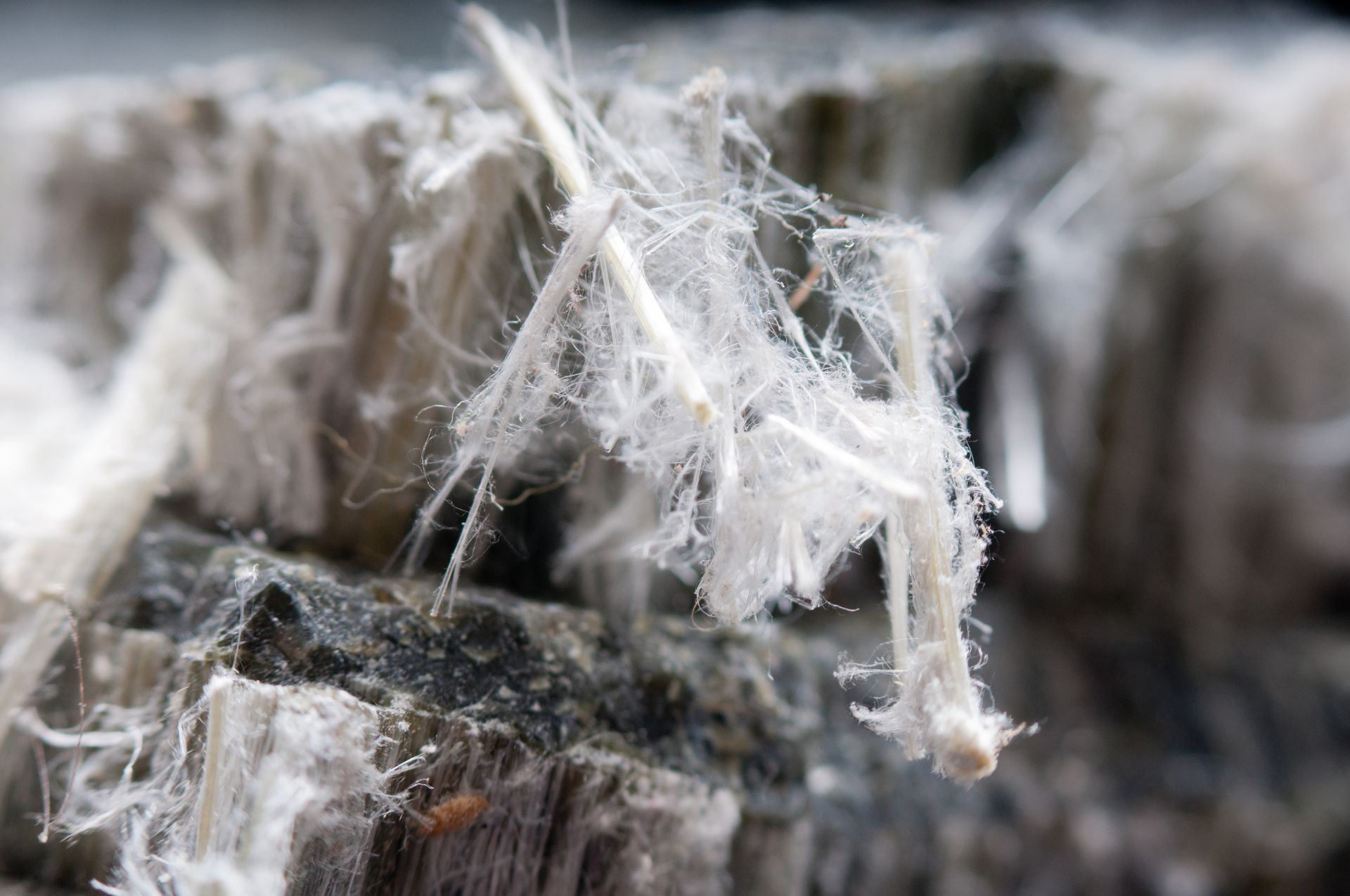 Close-up of white, fibrous asbestos on gray rock.