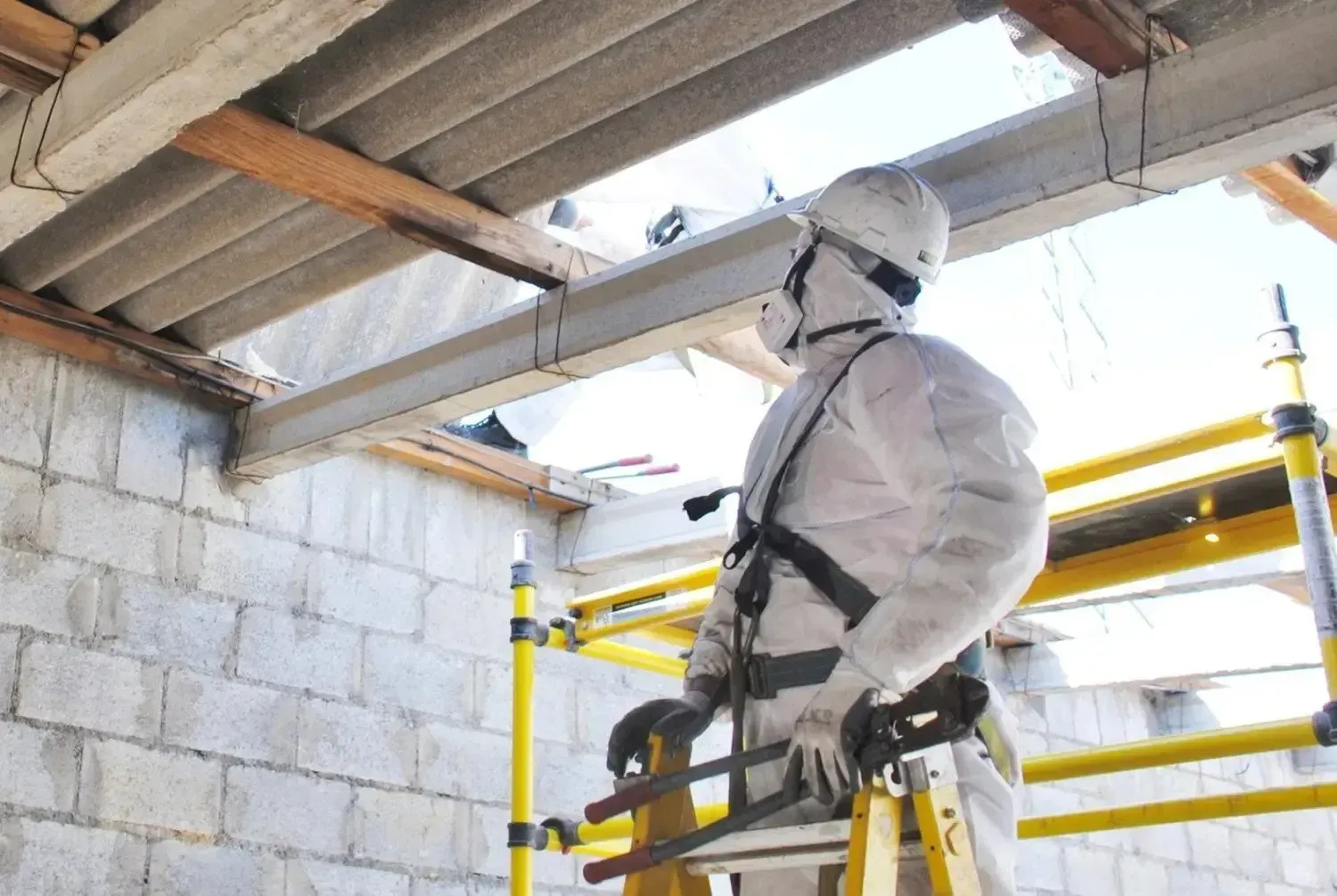 Yellow-gloved hand spraying mold-covered wall with cleaning solution.