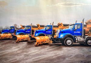 Une rangée de camions chasse-neige bleus à lames orange est garée sur un terrain.