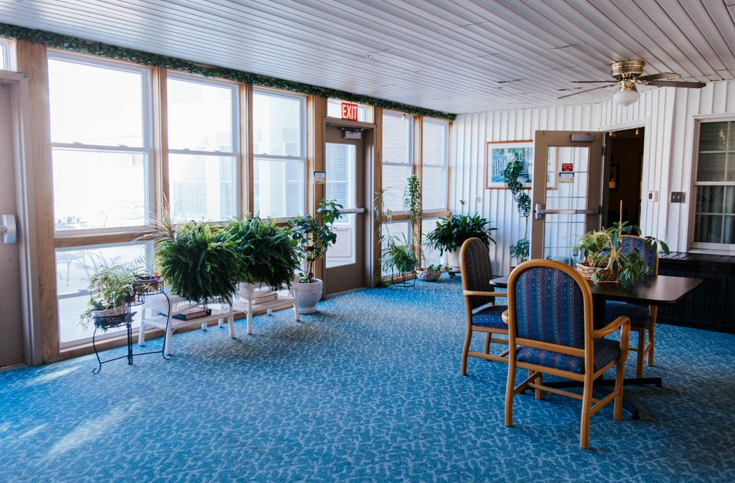 Sunroom with blue carpet, windows, plants, chairs, and a table.