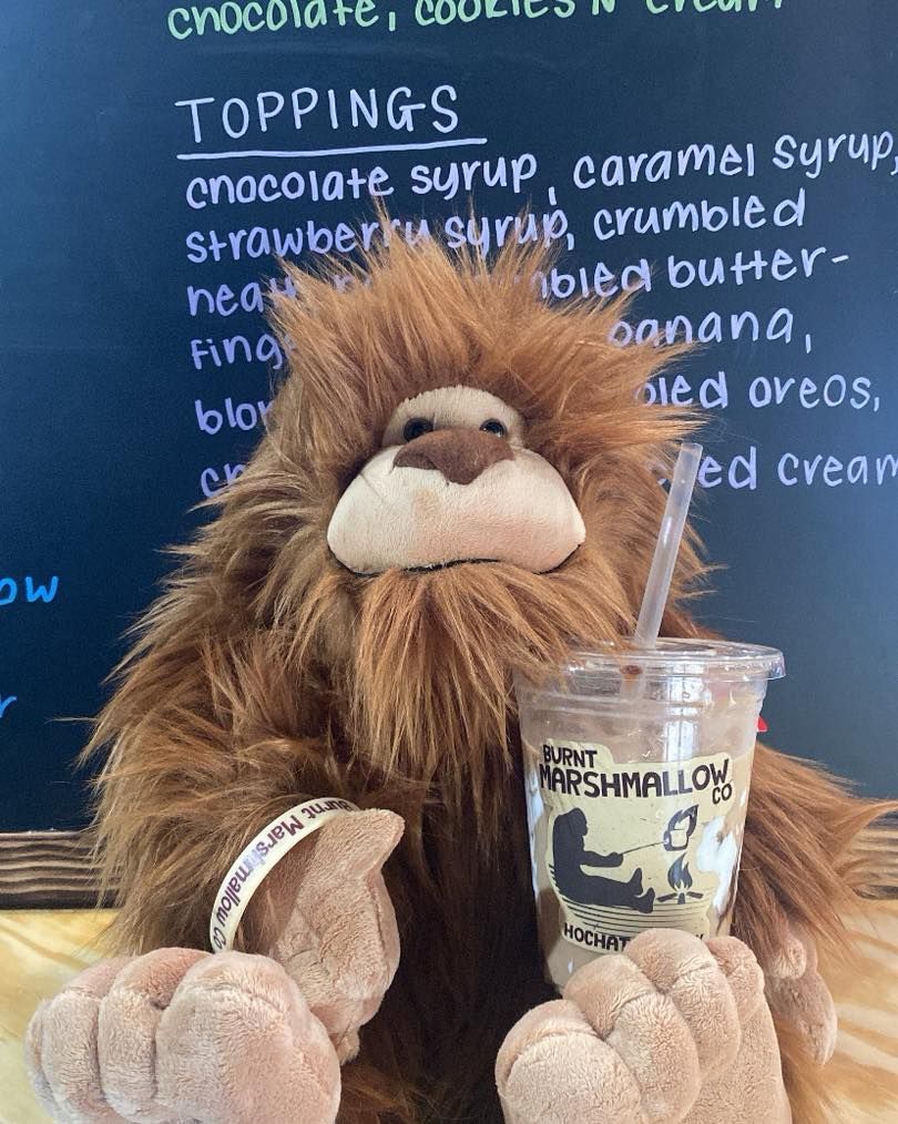 Fluffy plush lion toy beside a marshmallow tub in front of a dessert toppings menu