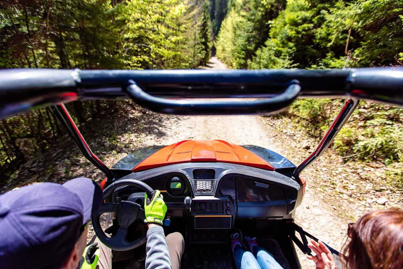 First-person view from a dune buggy driving on a forest trail, with a driver’s hands on the wheel and windshield frame visible