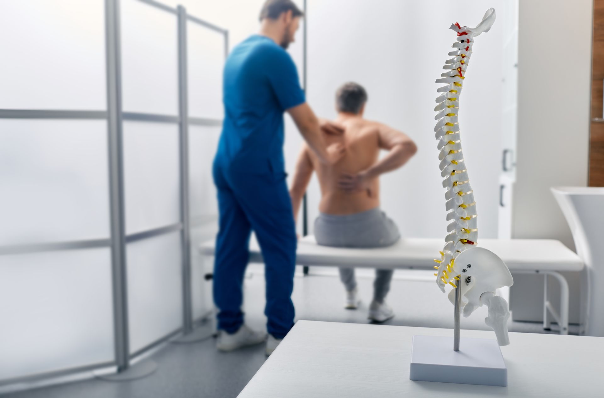 Chiropractor examines a shirtless man's lower back beside a spine model in a clinic