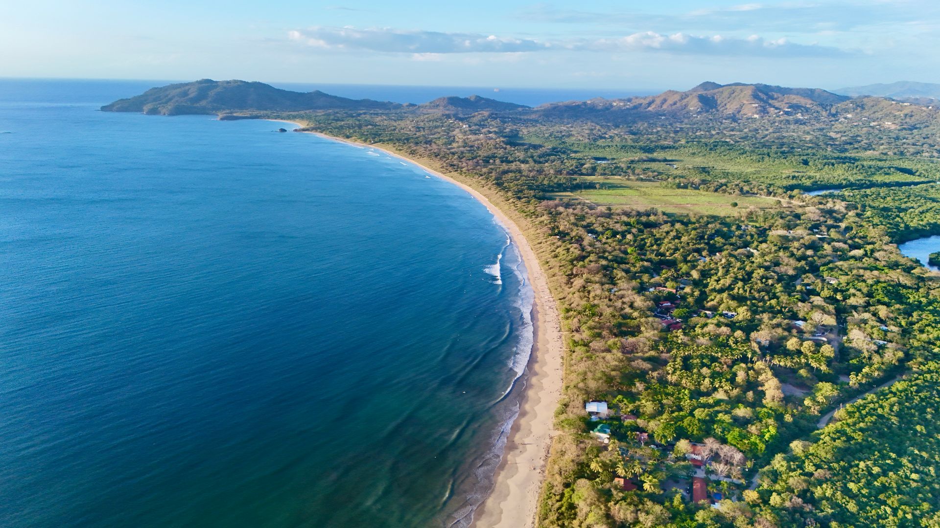 Coastal aerial view: blue ocean meets a sandy beach lined with green trees under a clear sky.