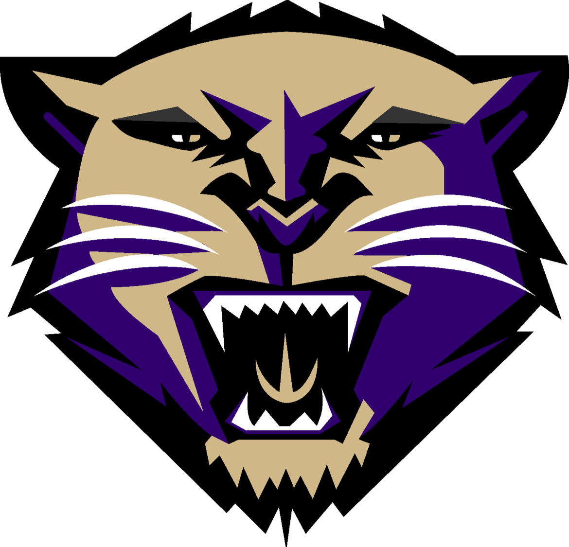 Holy Cross Tiger

