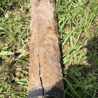 Close-up of a weathered log lying in green grass, with a visible crack along its length.