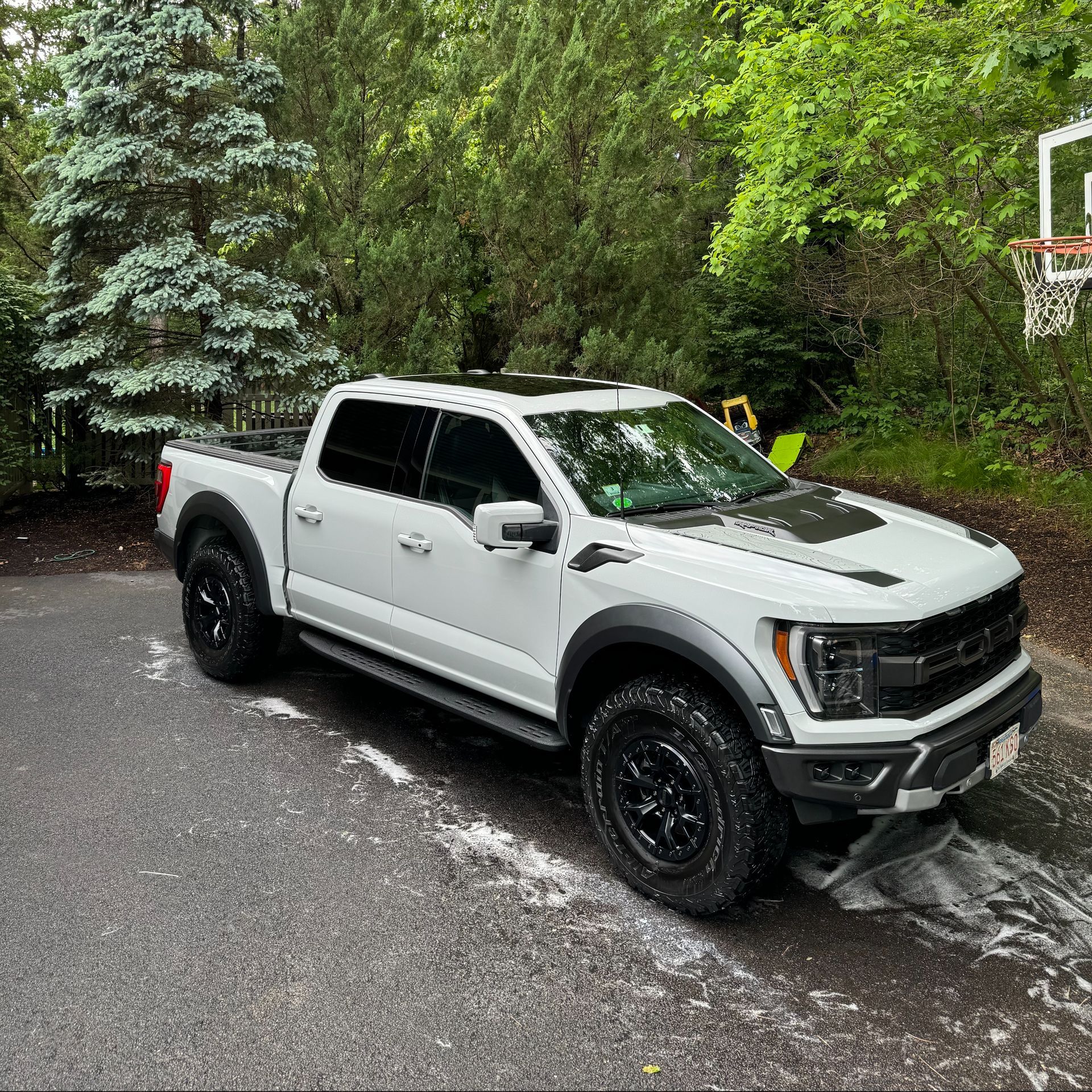 White pickup truck parked on a wet driveway beside dense green trees