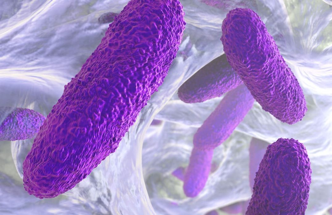Purple rod-shaped bacteria against a light, blurred background, possibly in a biological environment.