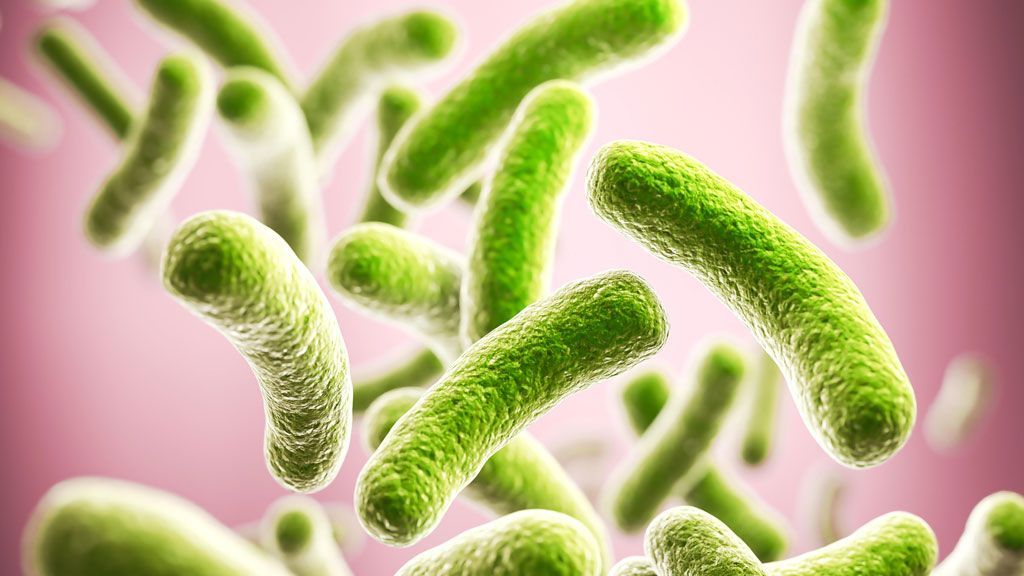 Green, rod-shaped bacteria against a soft pink background, representing microorganisms.