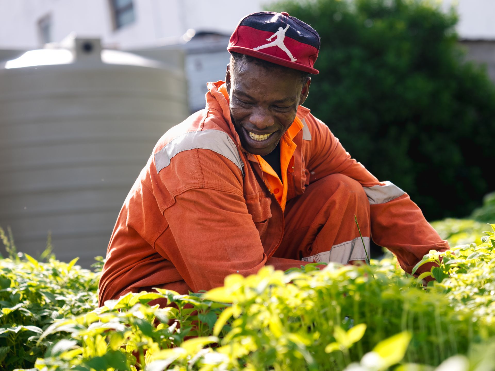 The community garden at Where Rainbows Meet, Vrygrond