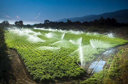 A Field Of Green Plants Is Being Watered With Sprinklers - Oklahoma City, OK - Total Pump & Supply A Field Of Green Plants Is Being Watered With Sprinklers - Oklahoma City, OK - Total Pump & Supply