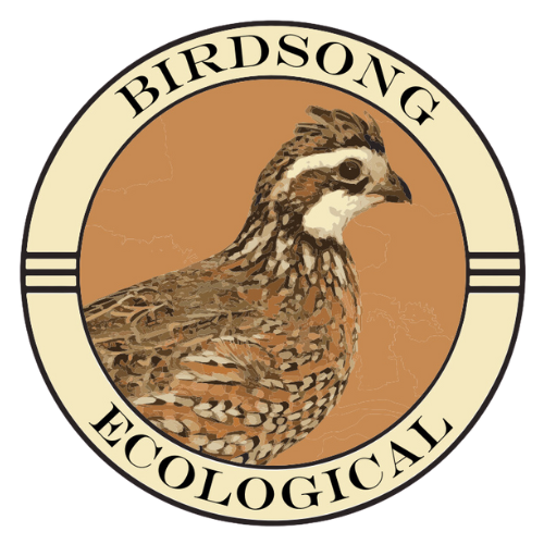 Birdsong Ecological logo with a brown quail in a tan circular emblem
