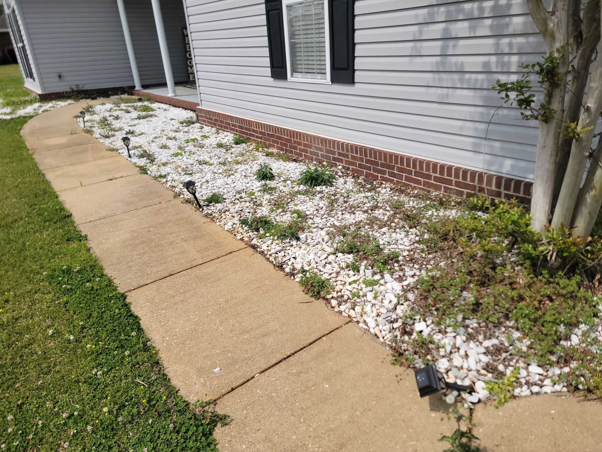 Sidewalk beside a house with a white rock garden and small shrubs along the brick foundation.