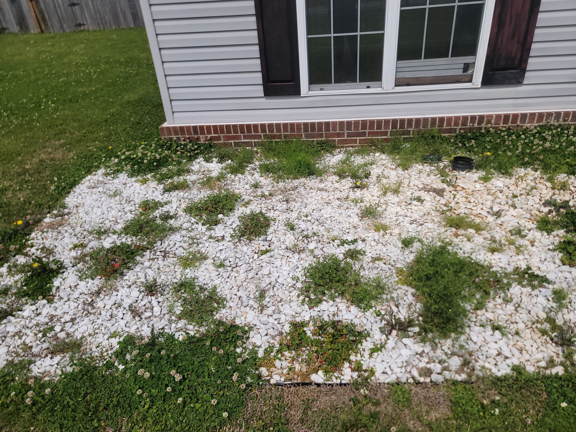 Front yard patchy grass and white gravel beside a house with white siding and a window.