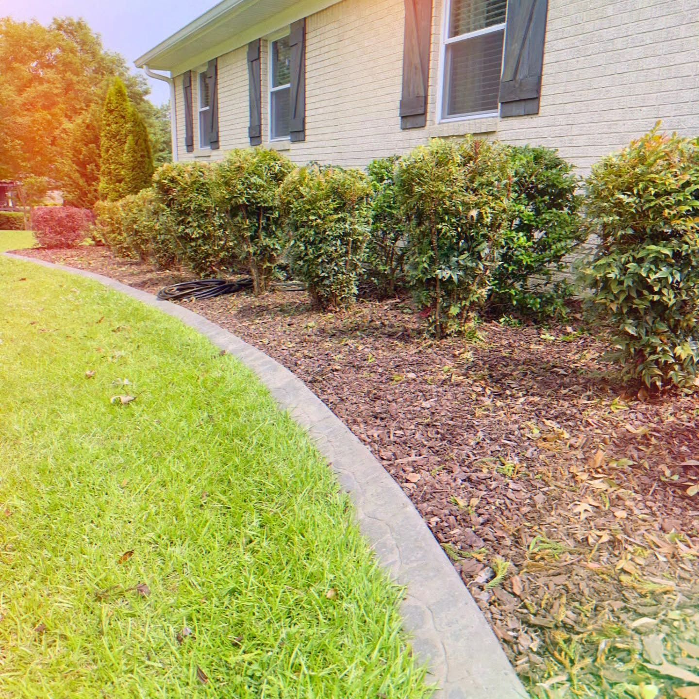 Curved concrete border beside green lawn and trimmed shrubs along a brick house