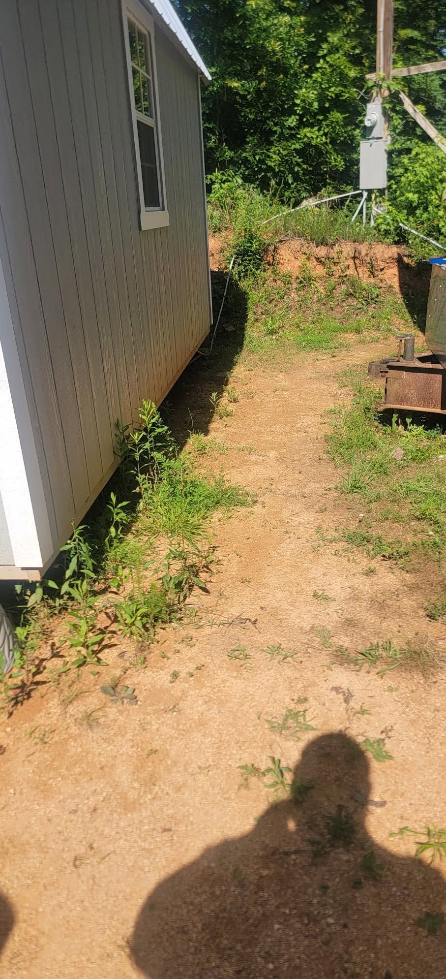Narrow dirt path beside a house with overgrown grass and a shadow in the foreground