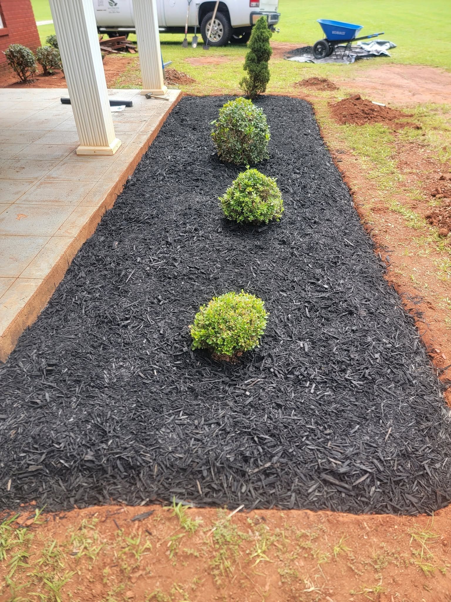 Landscaped front yard bed with black mulch and four small shrubs alongside a porch.