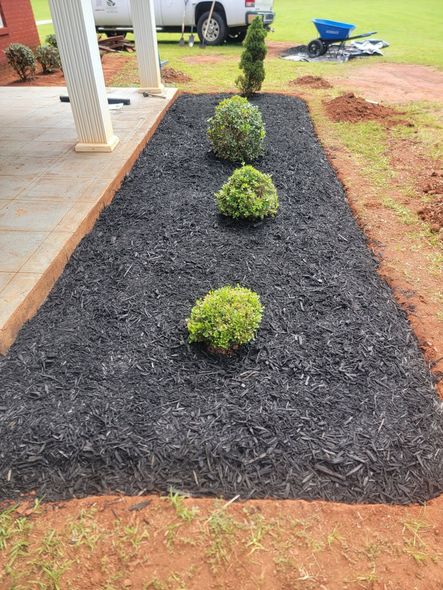 Landscape bed with black mulch and three small shrubs beside a house porch