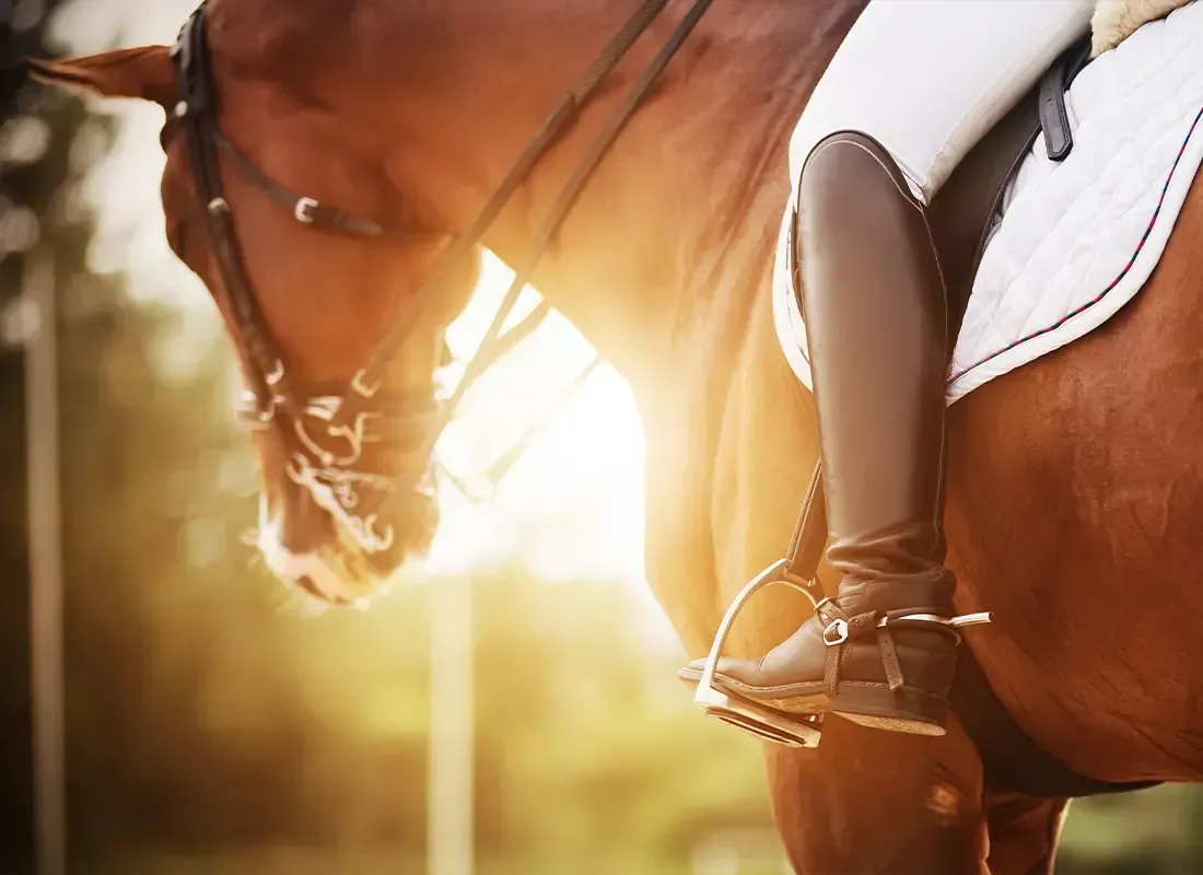 A person is riding on the back of a brown horse.
