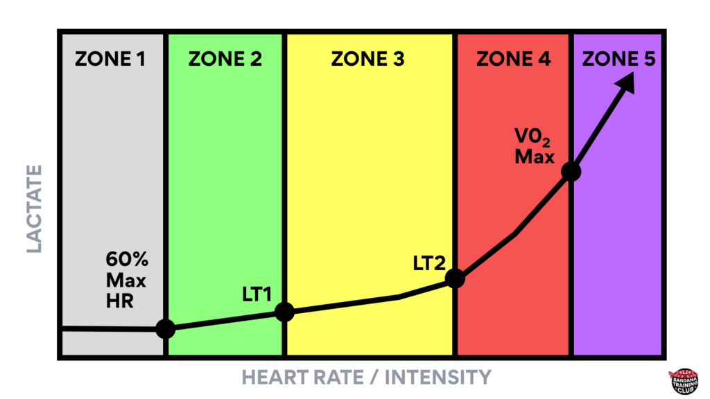 Heart rate training zones chart from low gray zone 1 to purple zone 5, marking LT1, LT2, and VO2 max.
