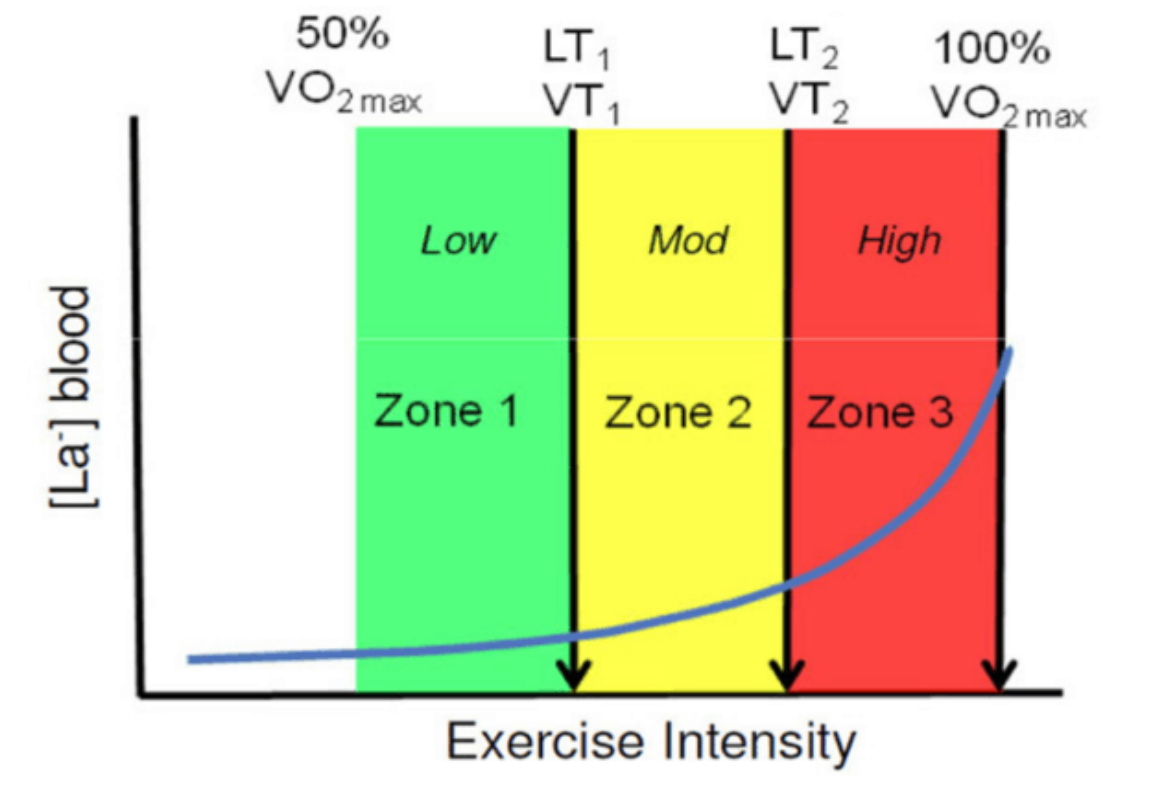 Exercise intensity chart with green, yellow, and red zones, blood lactate rising toward VO2 max.