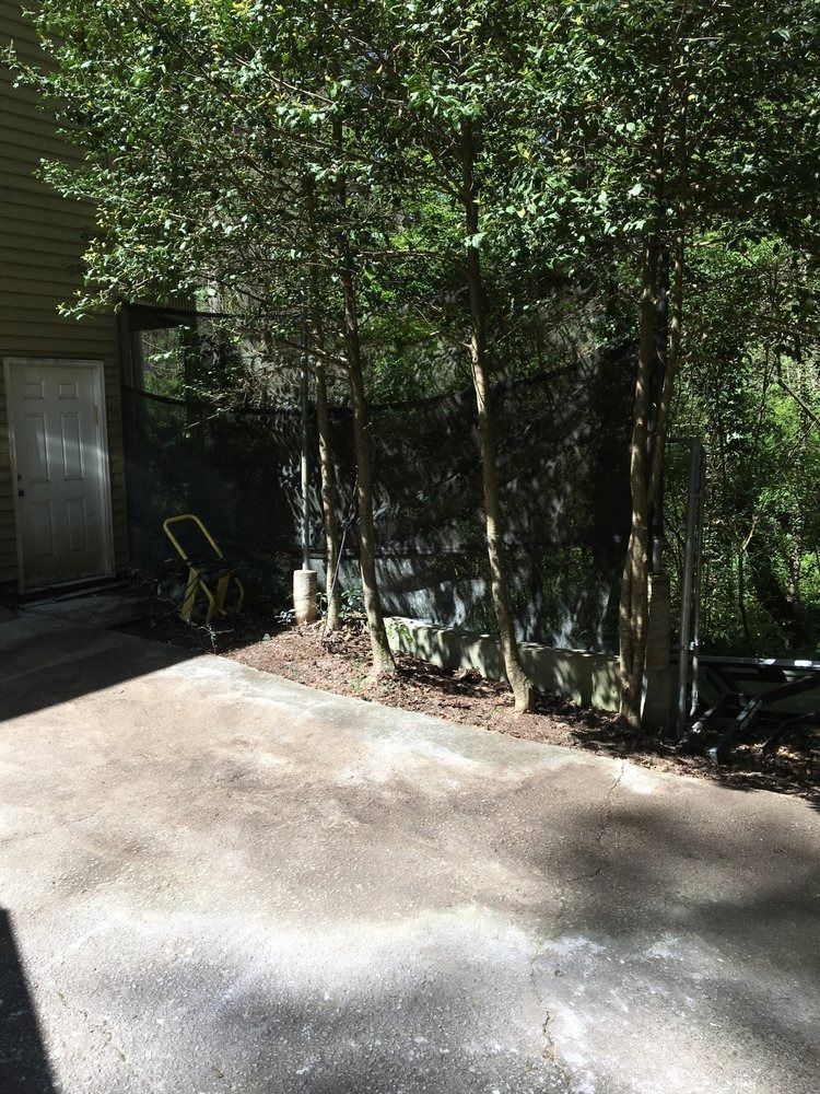 Concrete patio with trees and a door next to a dark wall and black netting.