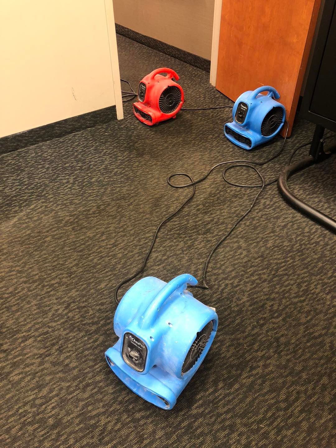 Drying fans in blue and red positioned on carpeted flooring in a Northeast Ohio residence.