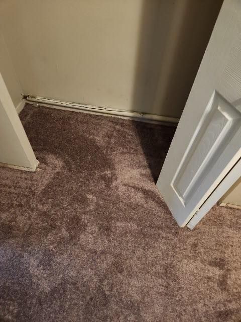 Carpeted closet with the door open in a residential Cleveland property.