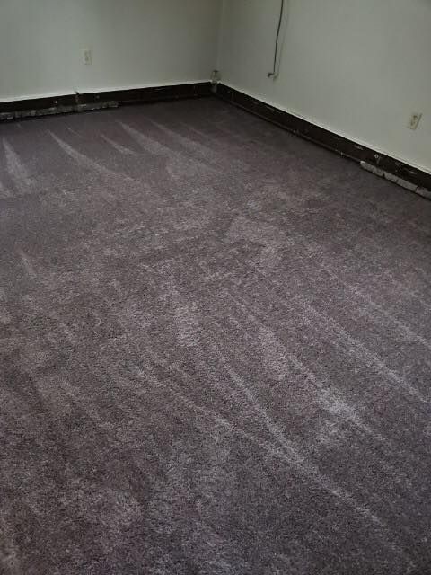 Clean room featuring a purple carpet and white walls in a Cleveland‑area home.