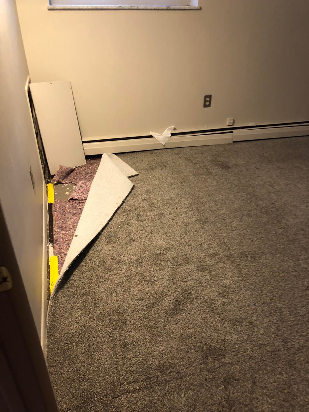Clean carpeted room with a window in a Northeast Ohio home.