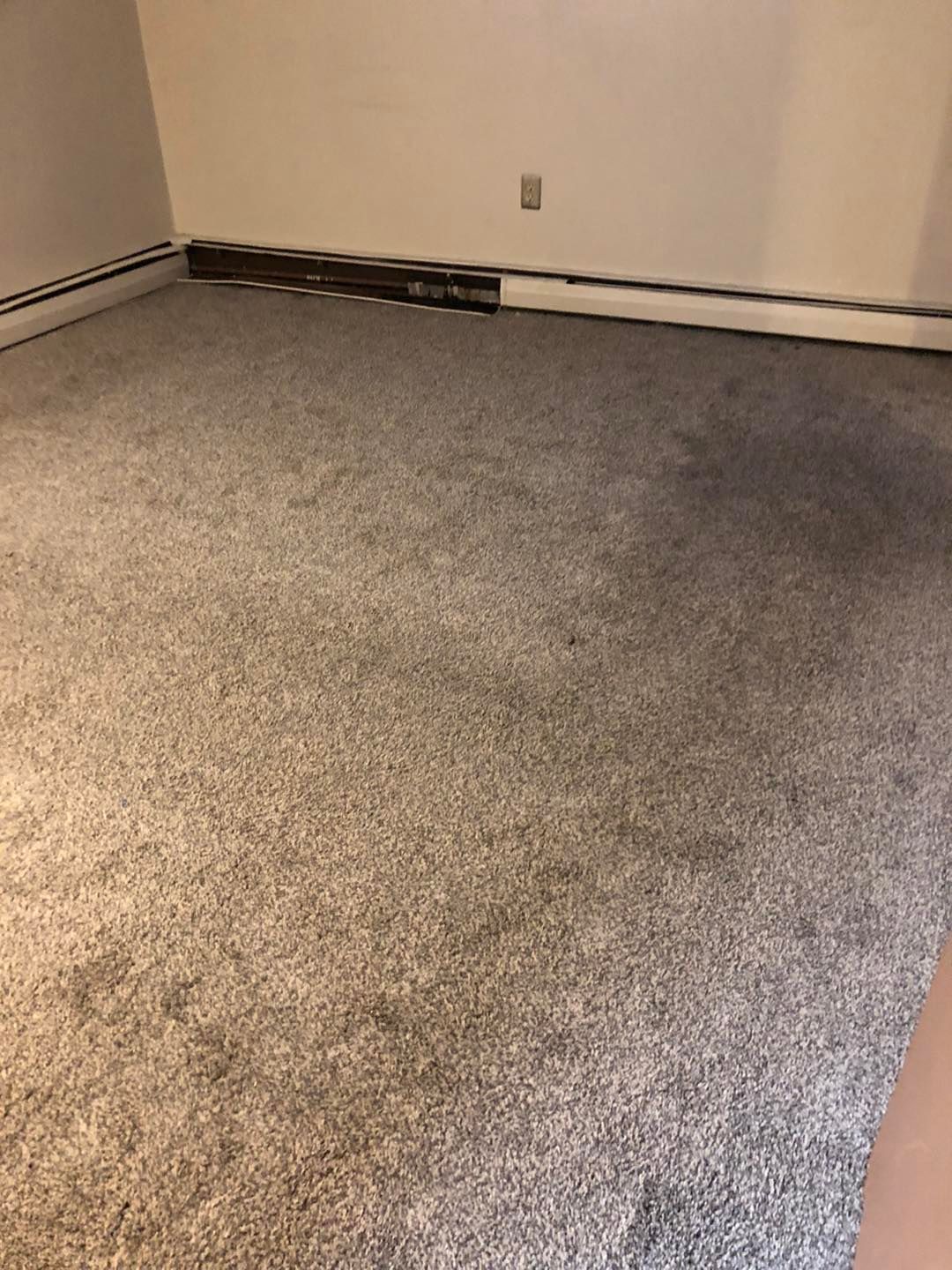 Carpeted room with a white wall in a residential home in the Cleveland area.