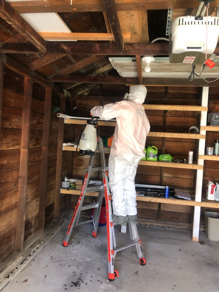 Northeast Ohio technician in protective bee gear standing on a ladder inside a garage.