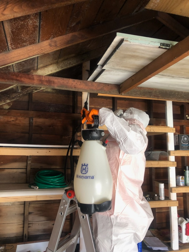 Northeast Ohio cleaning technician applying treatment to a garage ceiling while wearing protective equipment.